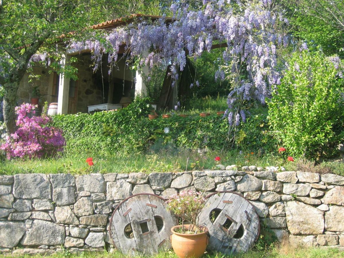 O Lughar Darriba Fogar Natural Gallardo Buitenkant foto